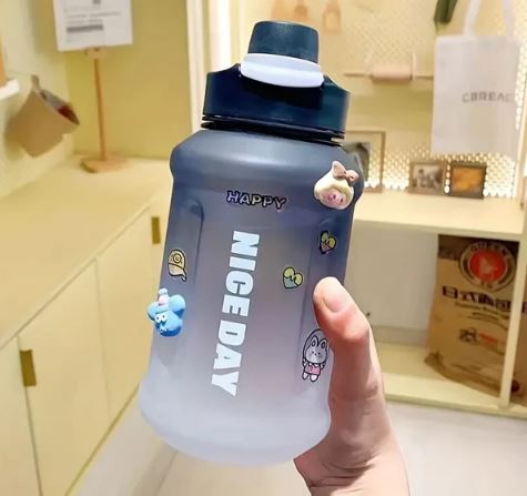 Gradient Water Bottle With Straw