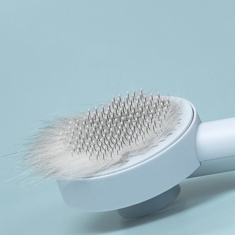 Lake Blue Cat Groom