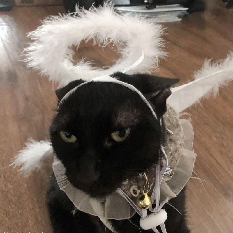 Dog Cat Feather Angel Halo Wing Pet Costume