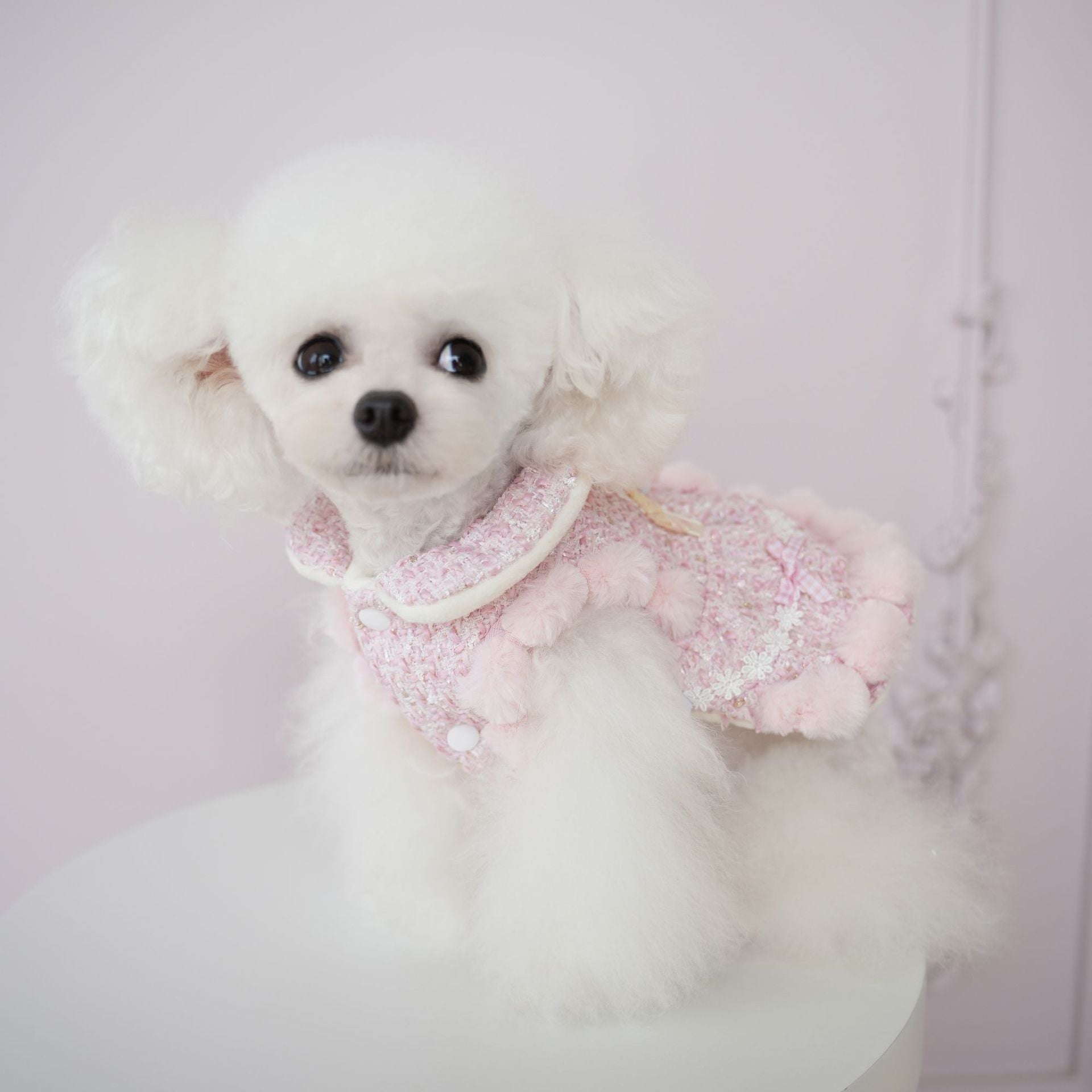 Fleece Bow Butterfly Decor Sweet Dog Jacket Dress