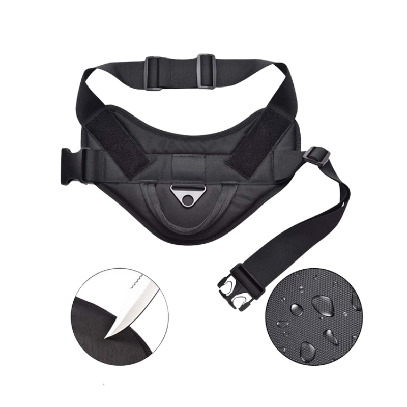 Big Dogs Harness Vest