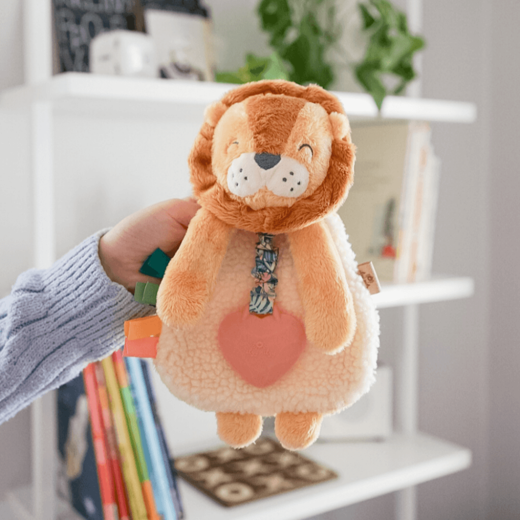 Itzy Lovey? Plush and Teether Toy