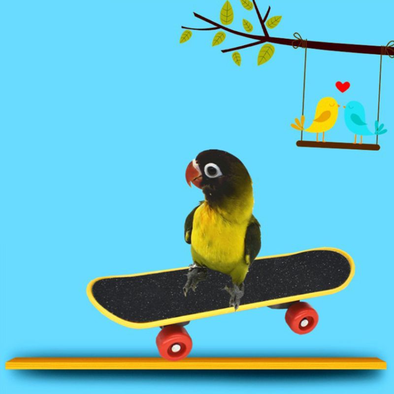8 Pieces Parrot Training Chew Toys Set