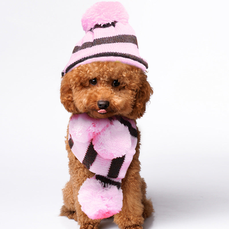 Knitting Pet Hat Scarf Socks Set