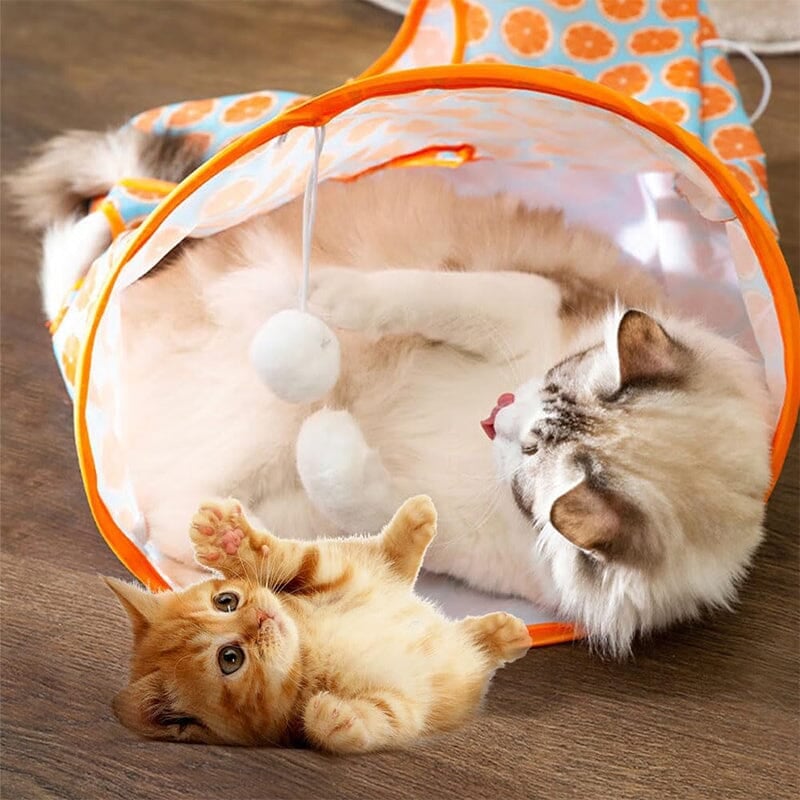 🔥HOT SALE 🔥 Cat Tunnel Bag