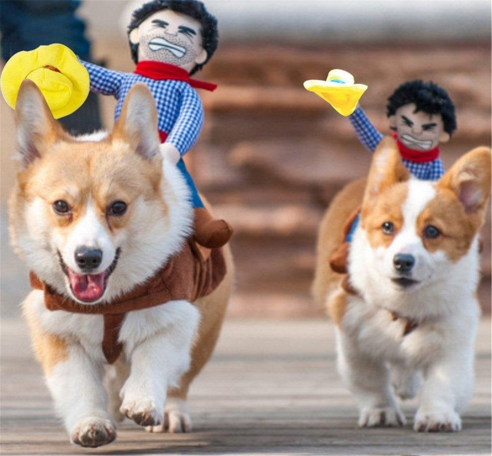 🔥HOT SALE NOW 49% OFF - Dog Costume - Cowboy Rider