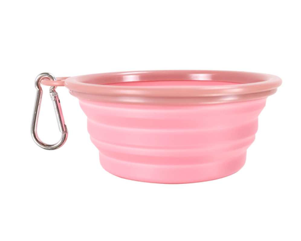 Quick Bite Collapsible Travel Pet Bowls