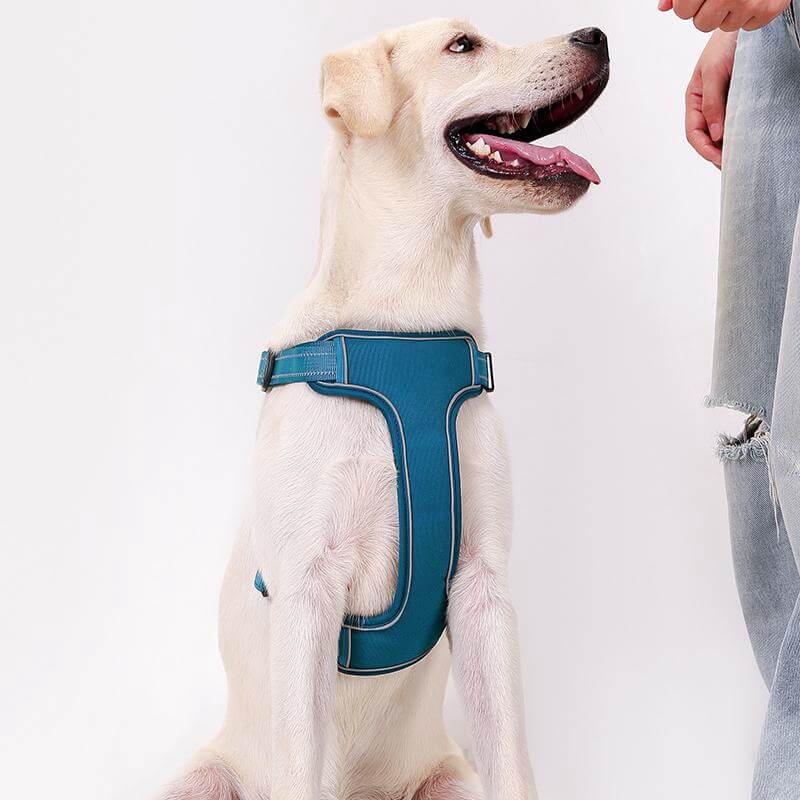 Adjustable Anti-Pull Breathable Dog Harness with Hands-Free Leash