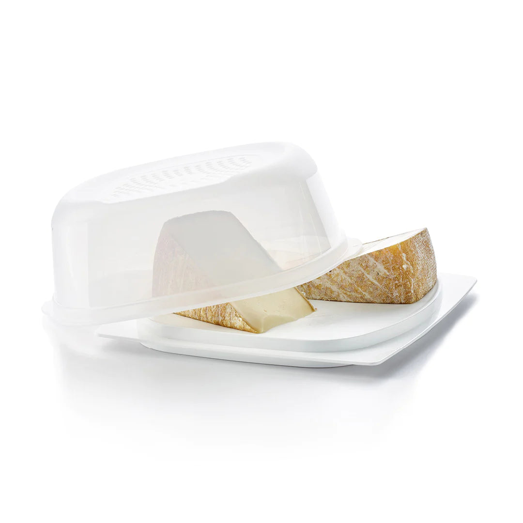 CHEESMART CHEESE KEEPER SMALL GEN III