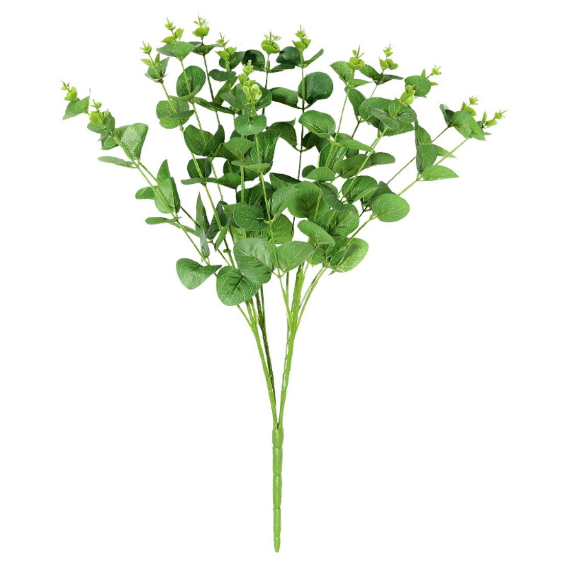 Eucalyptus Leaves