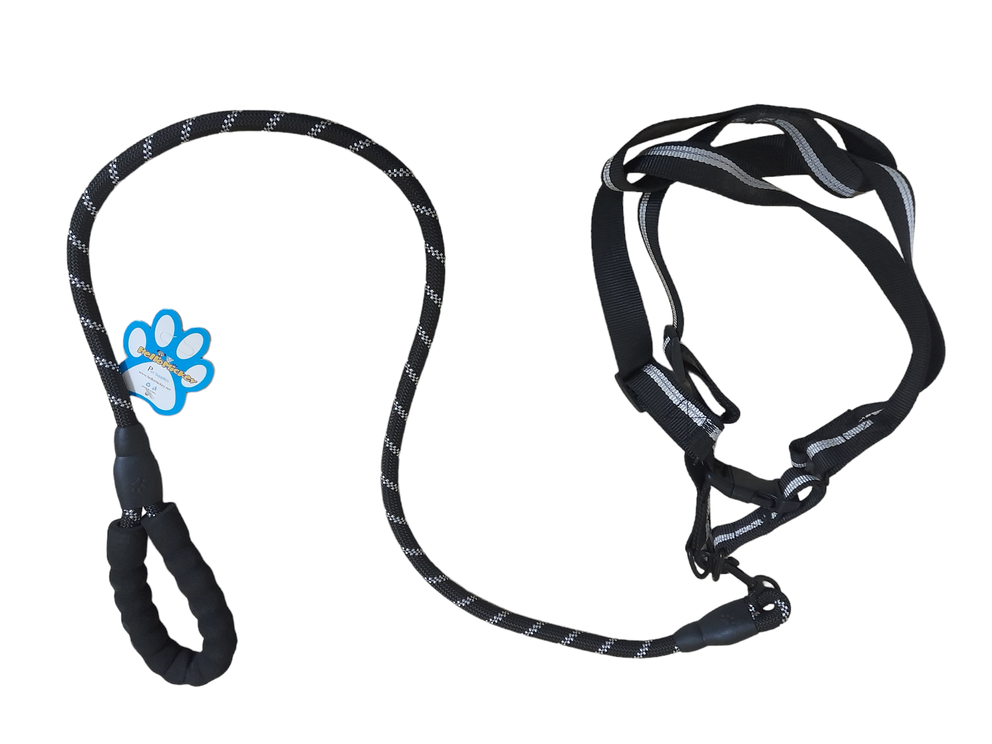 Dog leash + harness