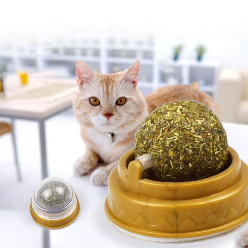 Catnip Cat Wall Stick-On Ball Toy