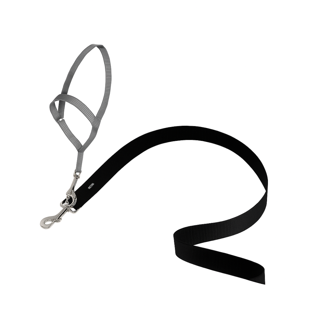 Adjustable No Pull Dog collar