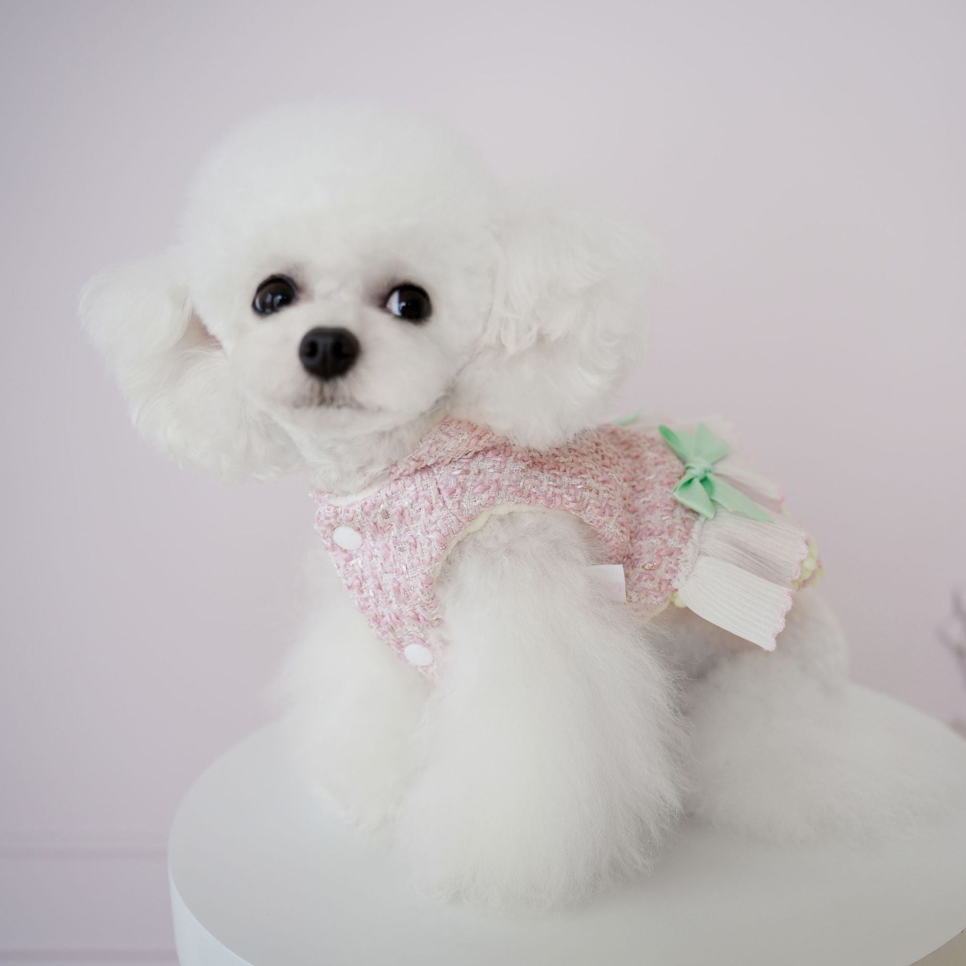 Warm Woollen Sweet Hooded Dog Dress Jacket