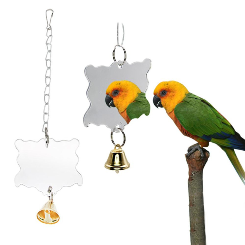 10 Pieces Bird Toys Set