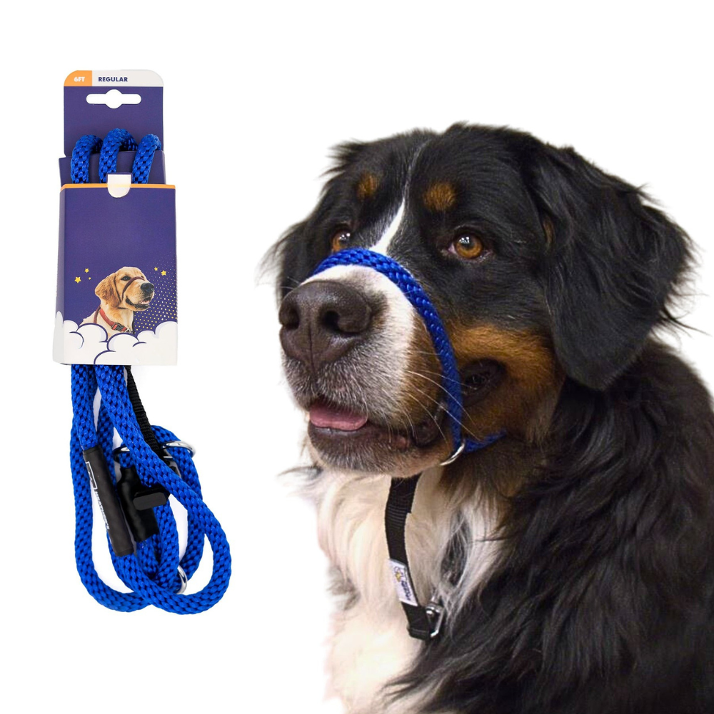 Original Transitional Leash