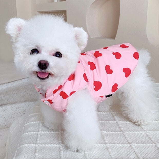 Sweet Bear Printed Dog Jacket Vest