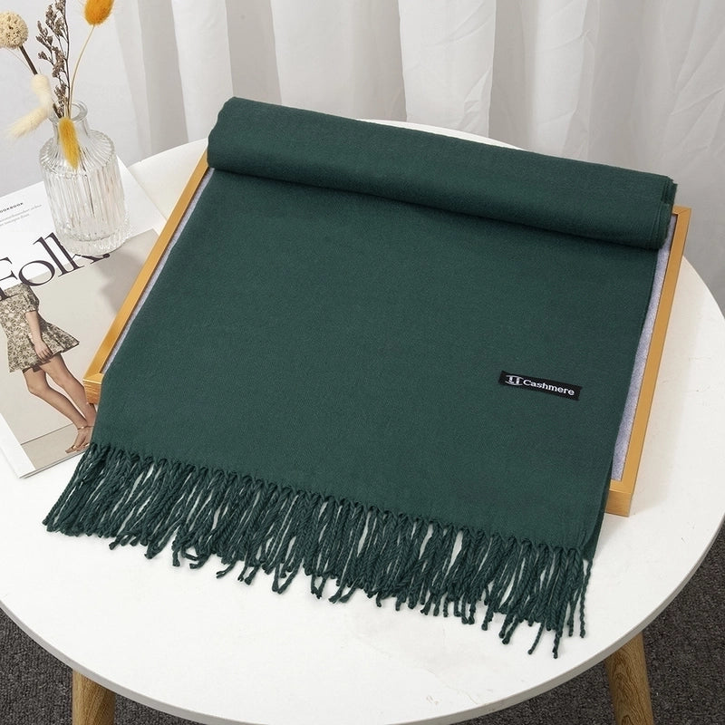 Women's Minimalist Solid Color Imitation Cashmere Tassel Scarf