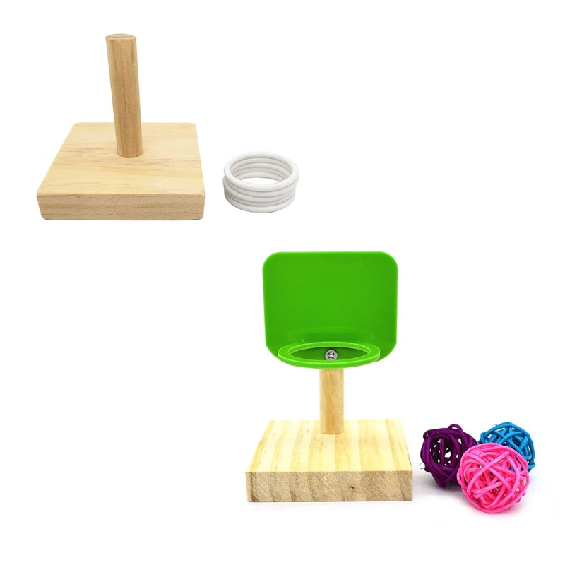 Bird Training Educational Toys Set