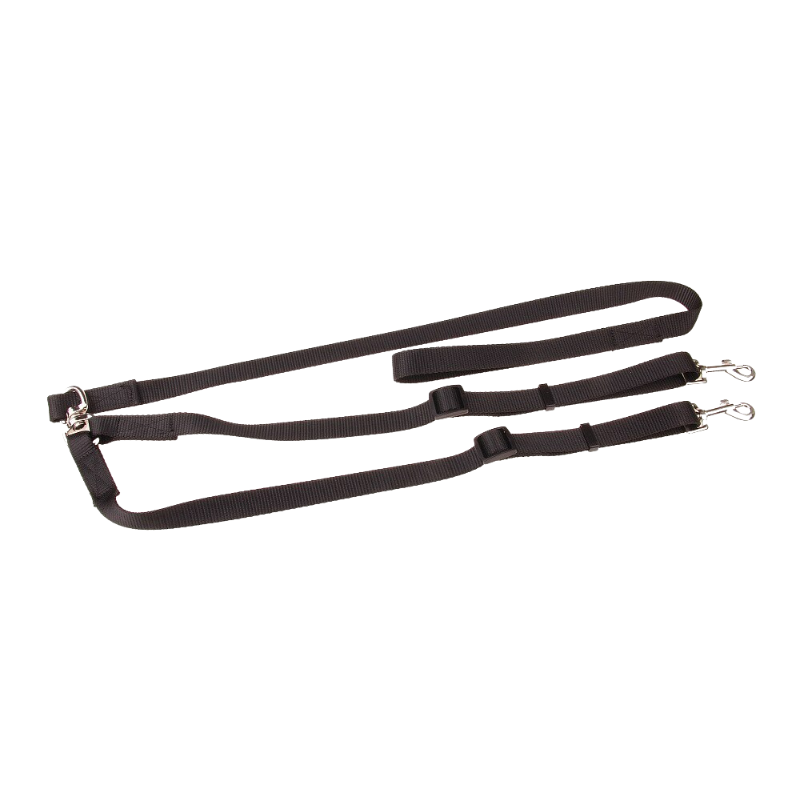 Double Dog Leash