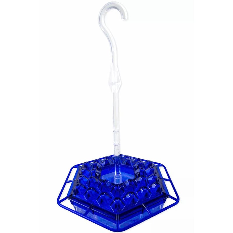 🎉   Promotion-49% OFF 🎉 Sweety Hummingbird Feeder