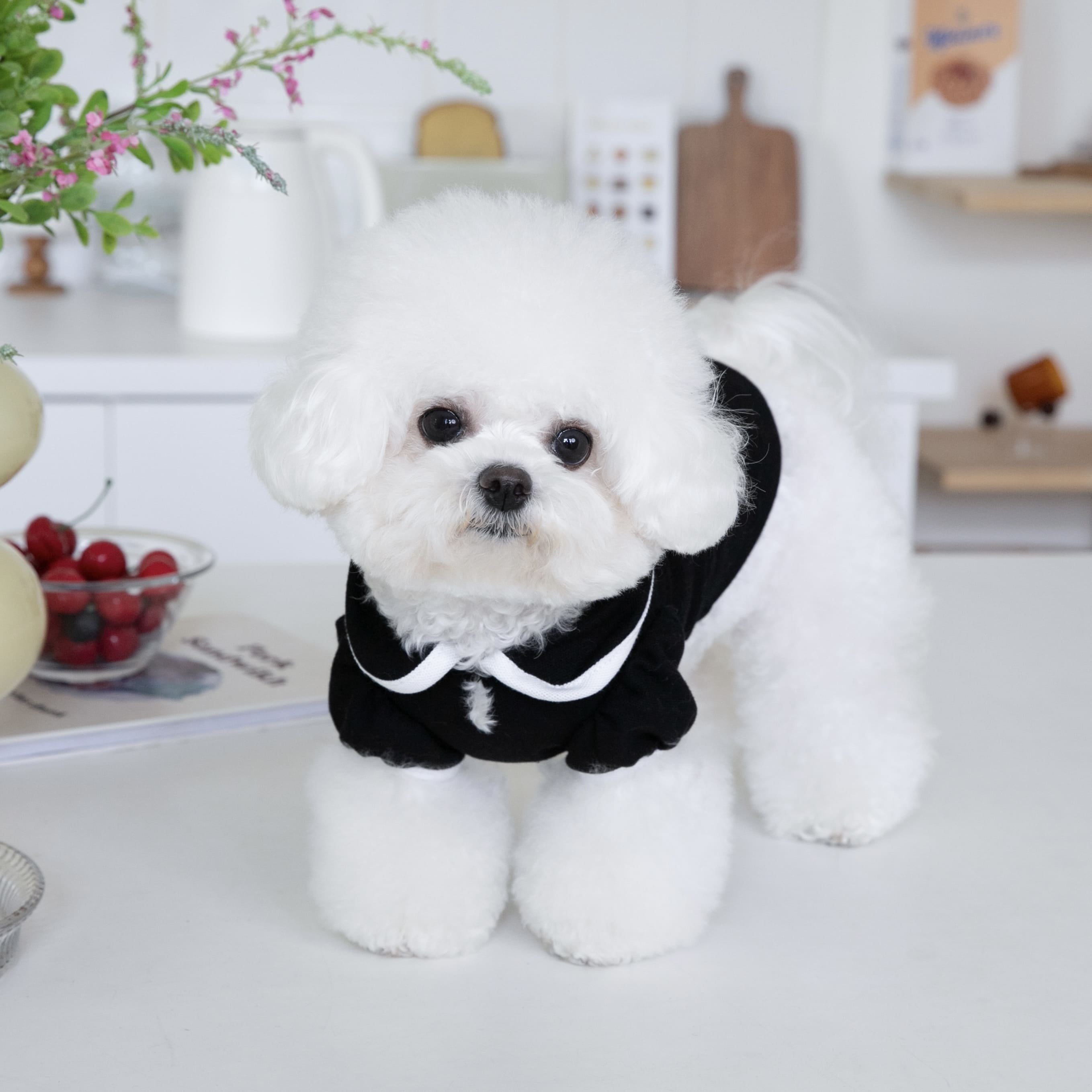 Sweet Collar Puffy Sleeves Dog Cat Tee