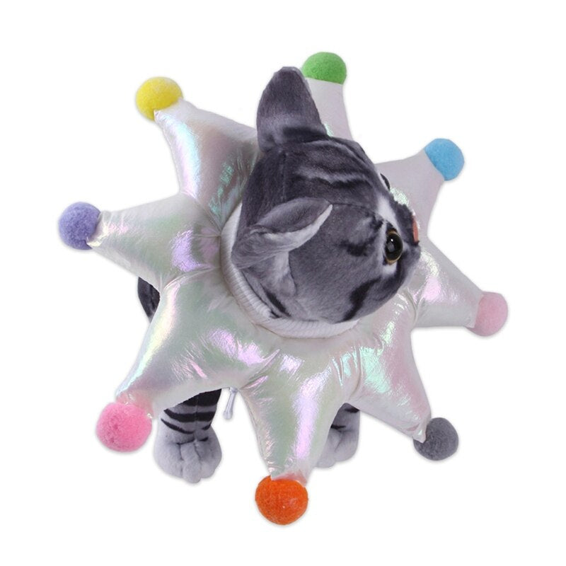 Cat Recovery Collar