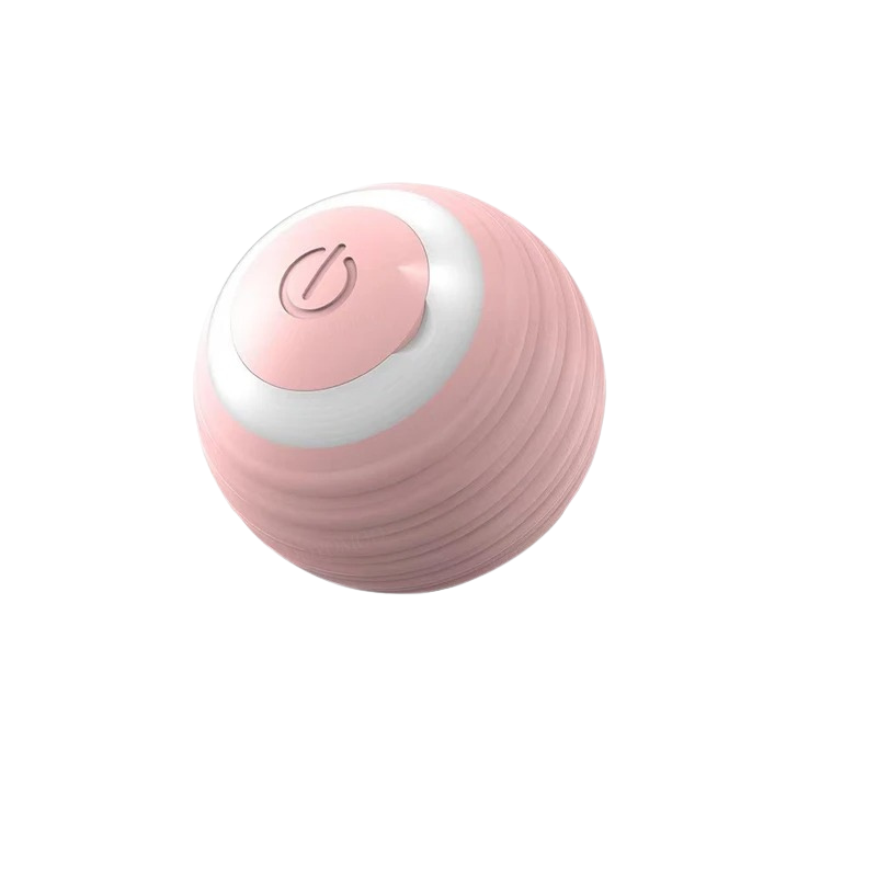 Interactive Motion Ball For Pets With USB Charging