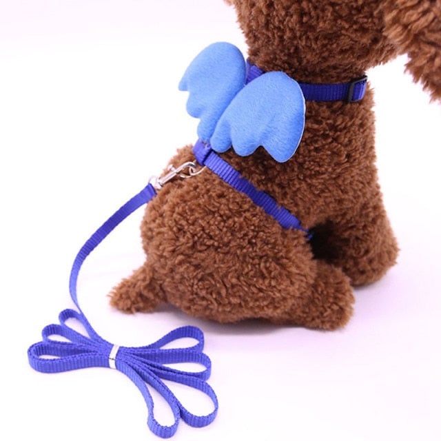 Angel Wing Dog Harness With Leash