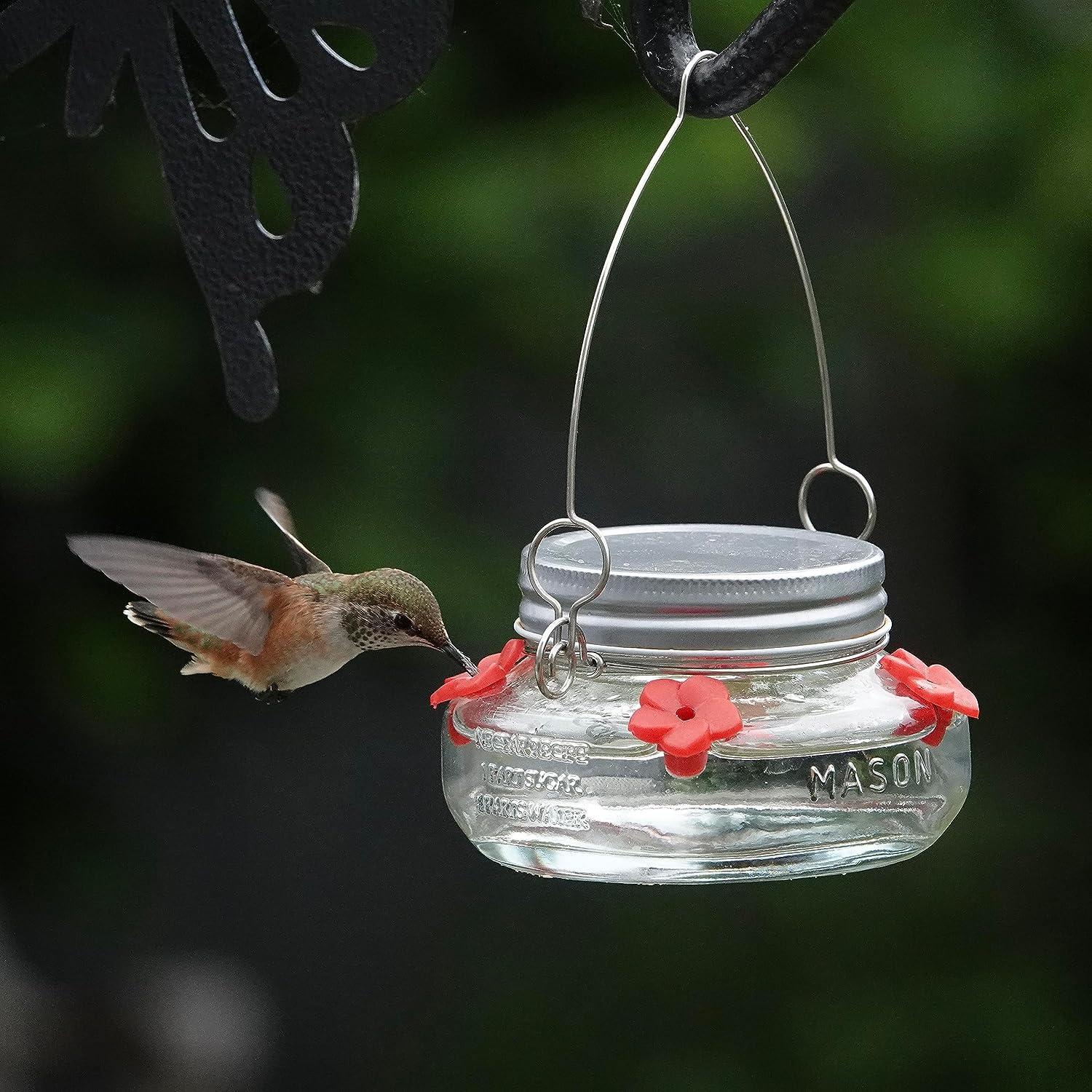 🎉   Promotion-49% OFF 🎉 Beautiful Mason Jar Hummingbird Feeder W/ Four Ports