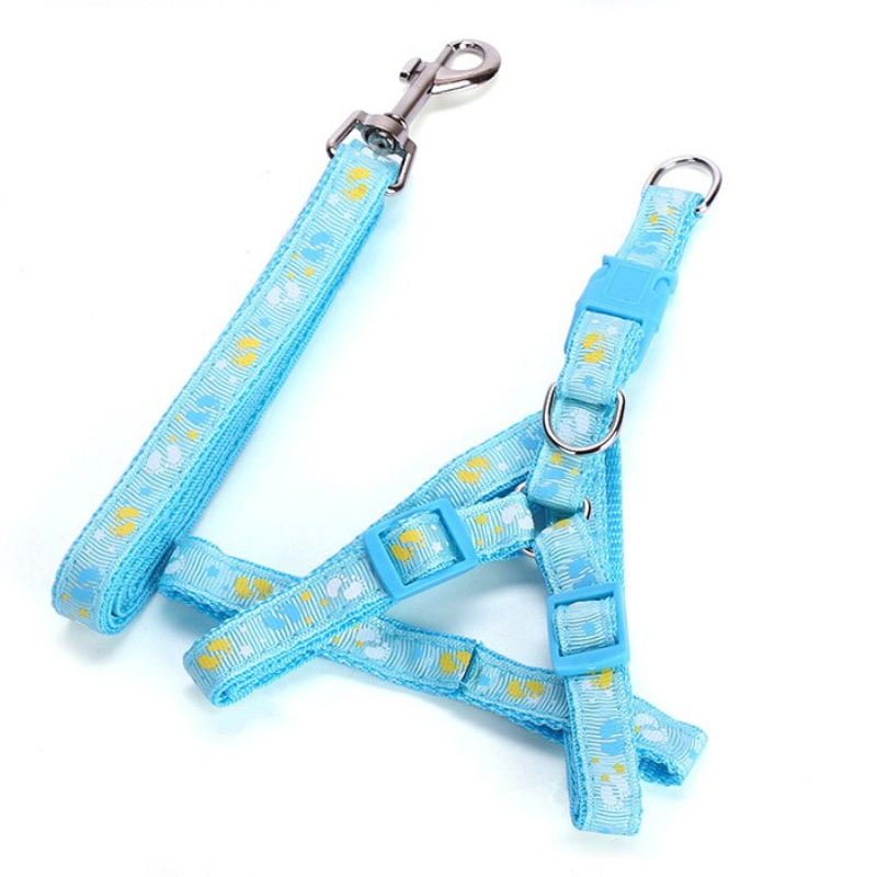 Stylish Dog Harness And Leash Set