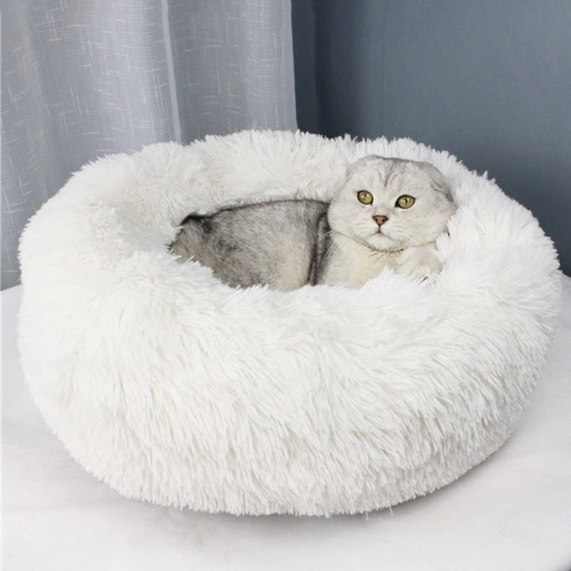 Comfy Calming Dog/Cat Bed