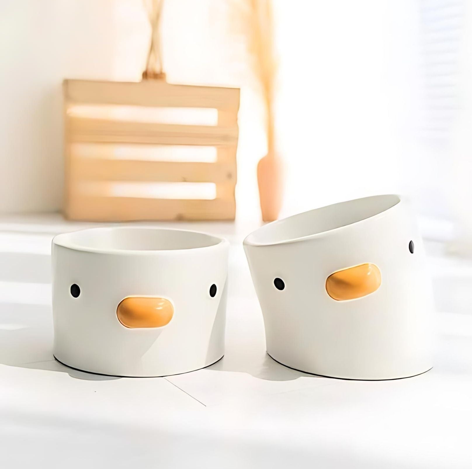 PURROOM Little Chicken Flat Ceramic Cat Bowls and Dog Bowls