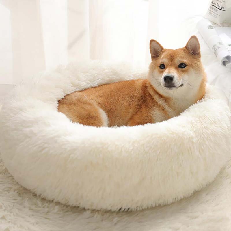 Comfy Calming Dog/Cat Bed