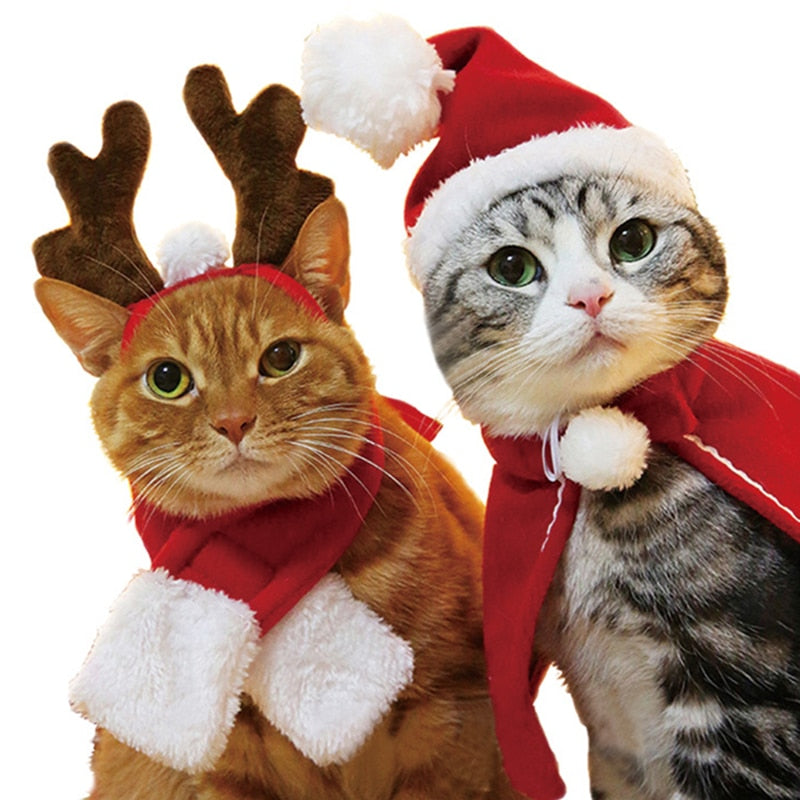 Themed Pet Cat Hats
