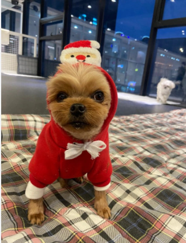 Cute Polyester Christmas Christmas Tree Santa Claus Pet Clothing
