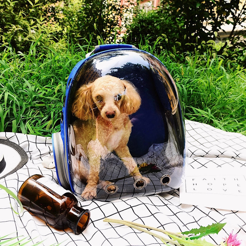 Shoulder Cat Bag Transparent Pet Bag Portable Outgoing Panoramic Transparent Cat Bag Lightweight Breathable Backpack For Pet