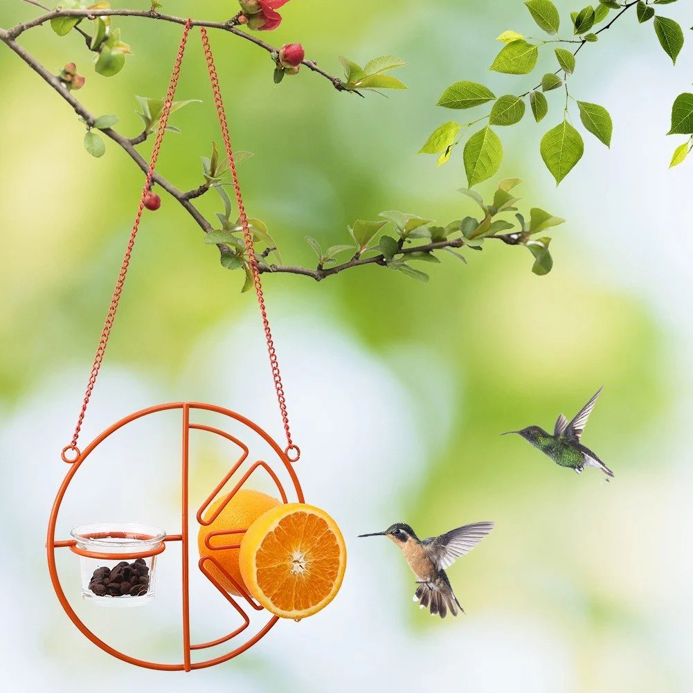 🔥  48% OFF-2-in-1 hanging hummingbird oriole feeder