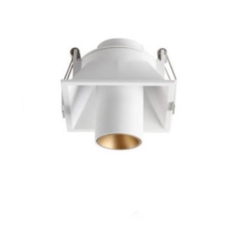 Braylen | Directional Spotlight