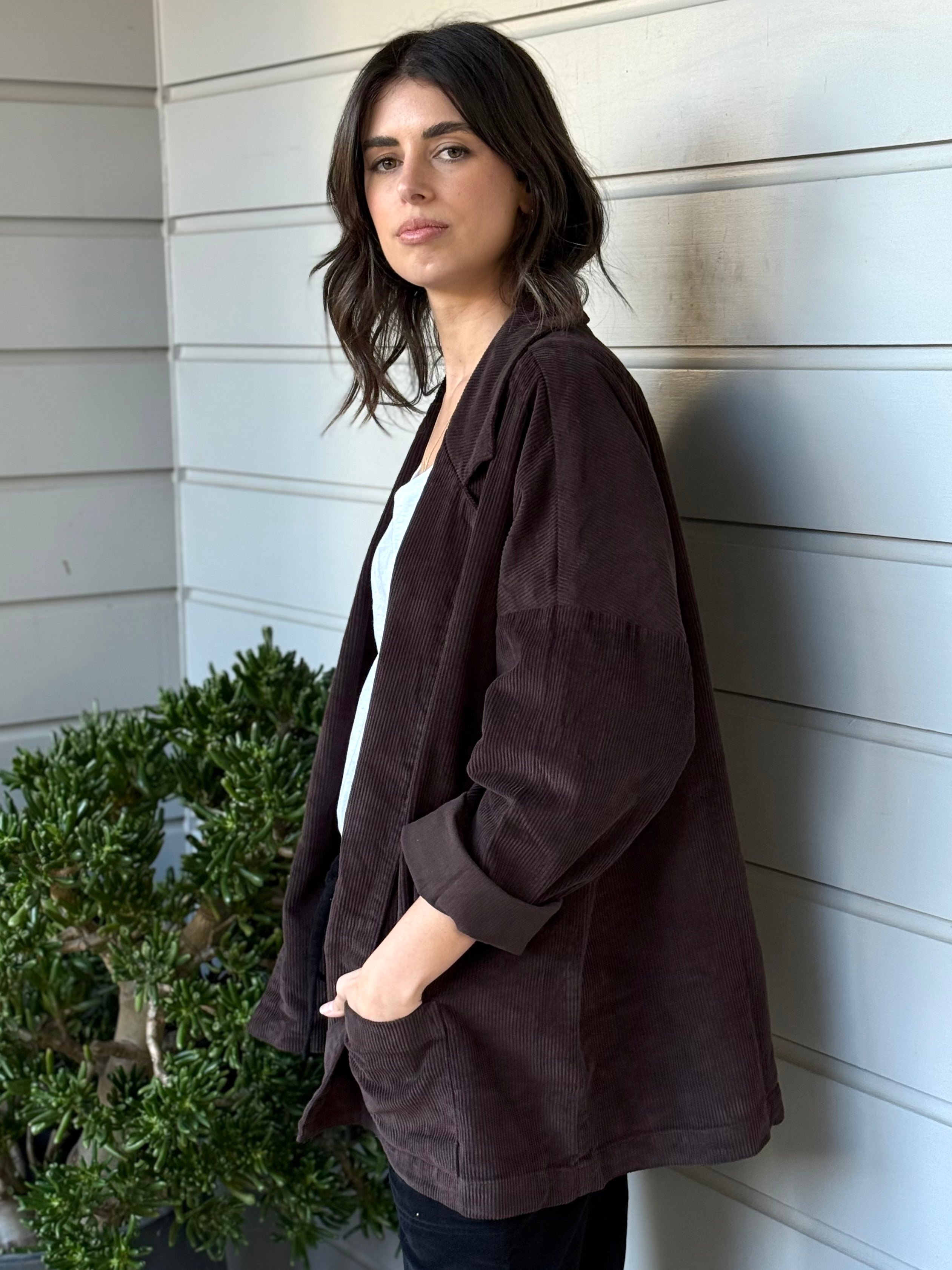 albert blazer - chocolate cord
