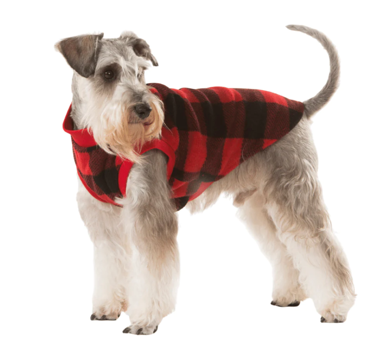 Red Check Dog Pyjamas