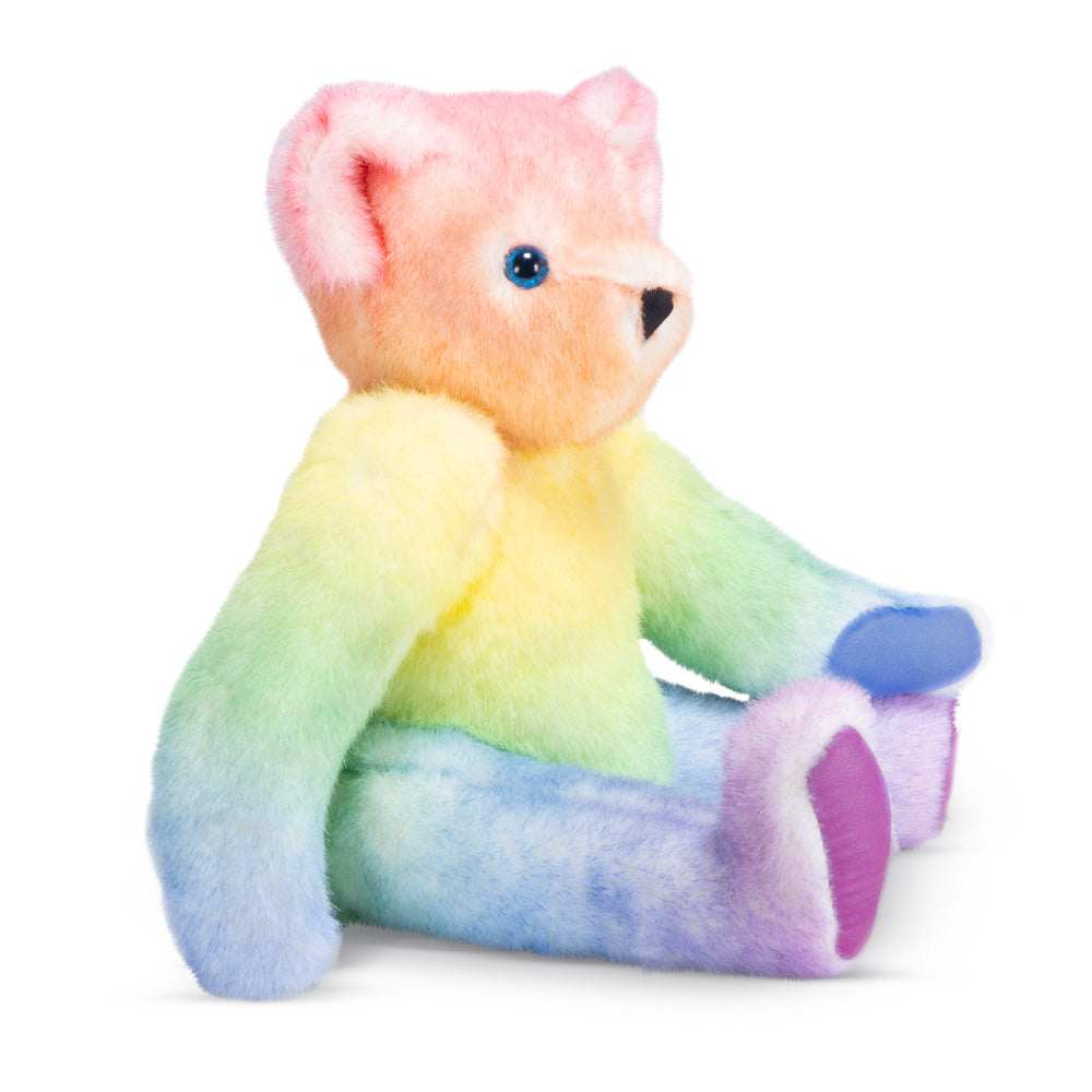 15 In. Special Edition Rainbow Bear