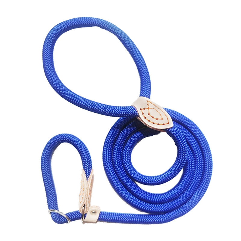 Minimalist Classic Style Nylon Solid Color Leash