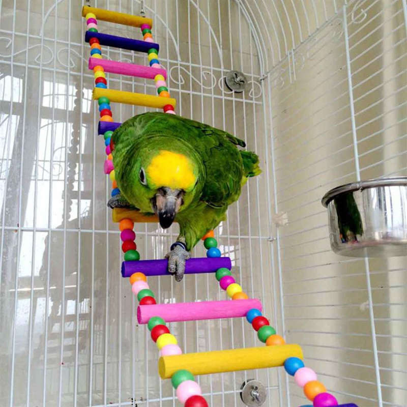10 Pieces Bird Toys Set