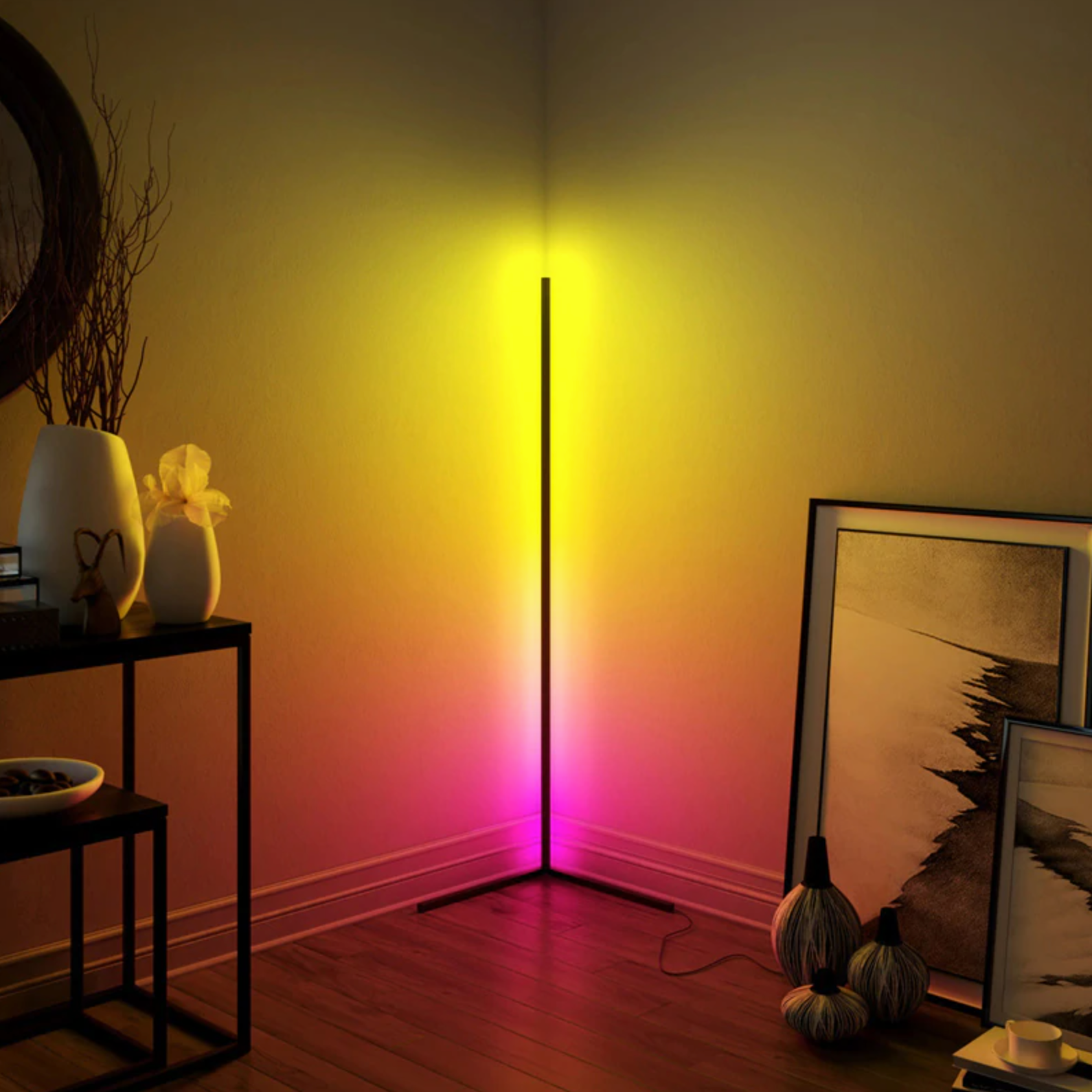 Light LED Floor Lamp