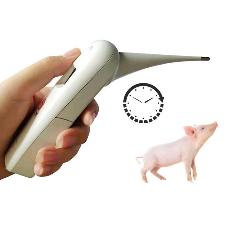 Animal Electronic Digital Thermometer