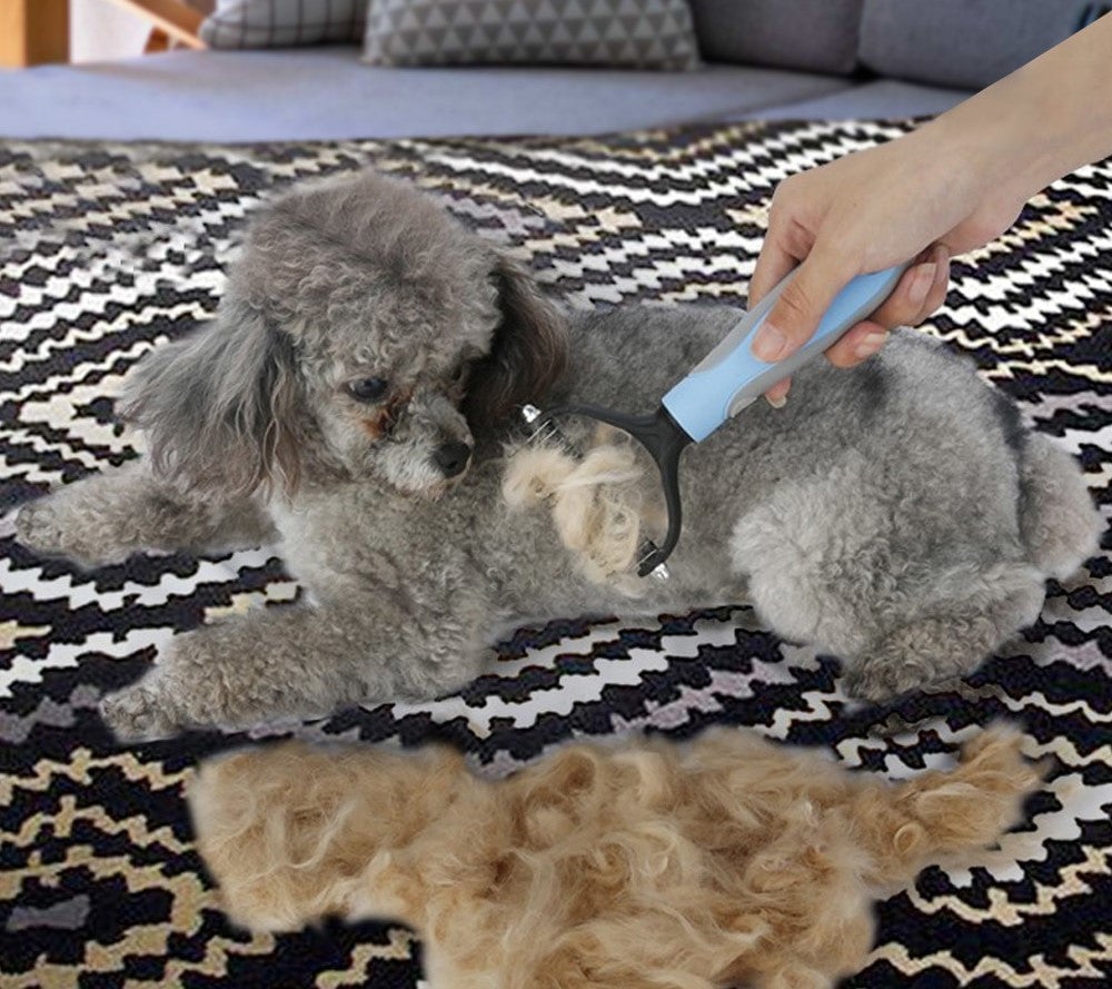 Pet Comb
