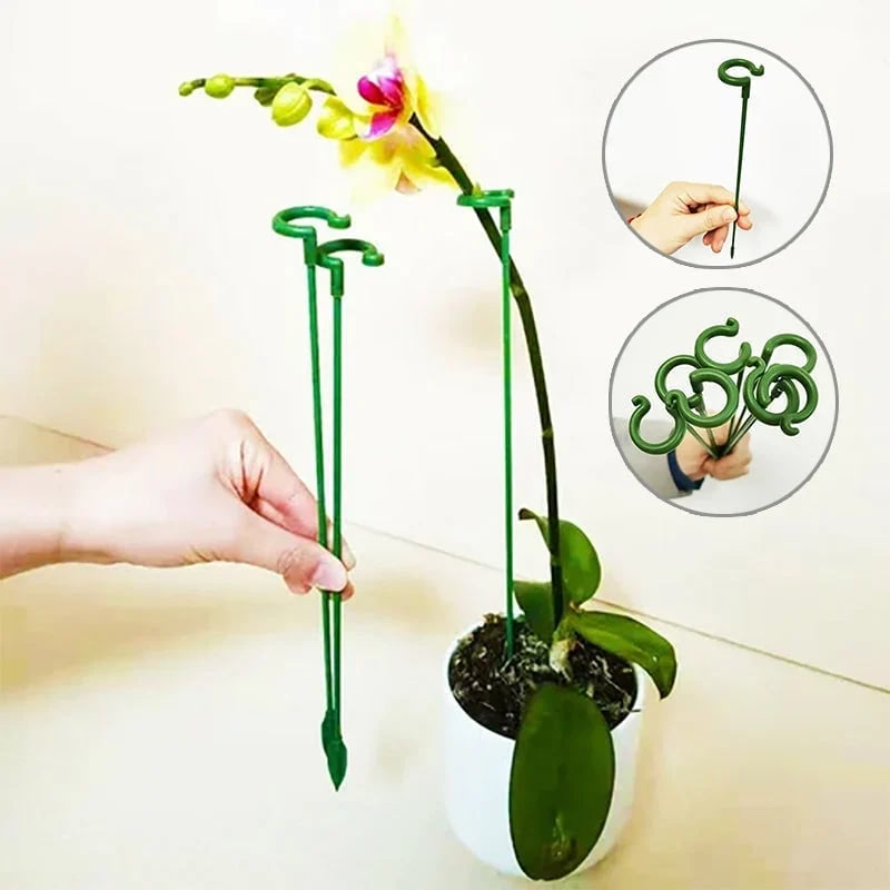 🔥 BIG SALE - 49% OFF Plant Support Stake