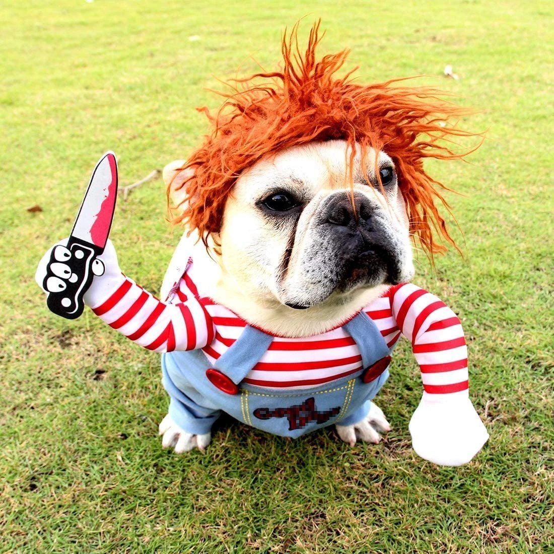 (🎃HALLOWEEN PRE SALE - 49% OFF) Deadly Doll Costume🐶Pets Also Need Halloween Dress Up!