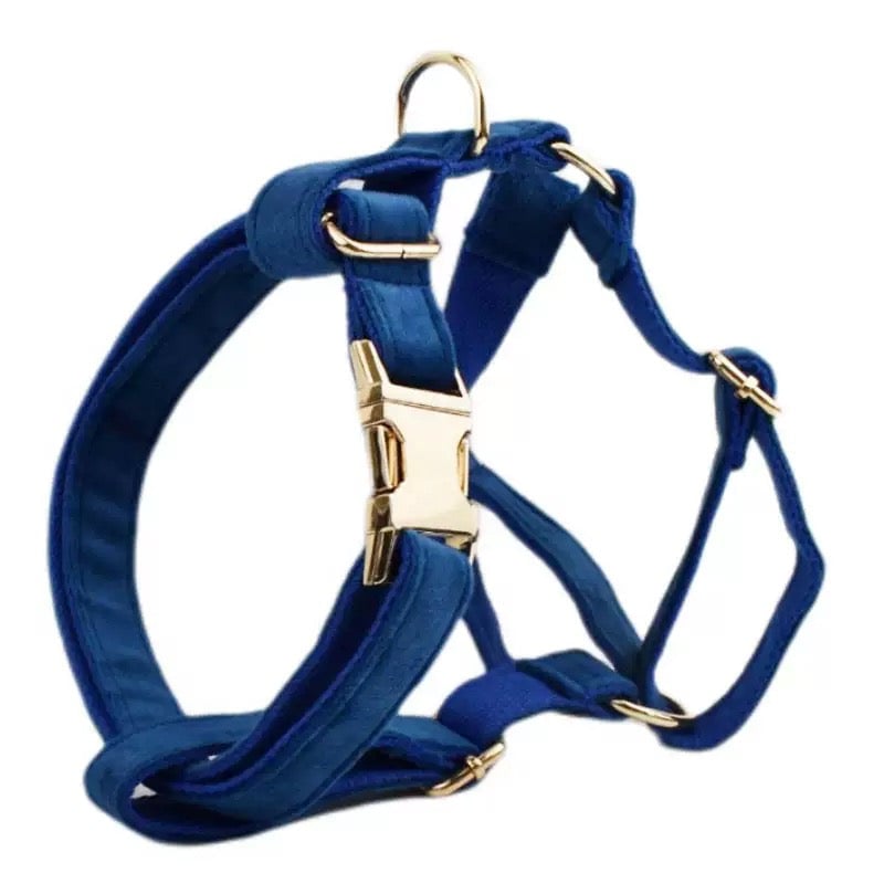 Velvet Personalized Dog Harness Collar Leash